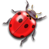 14.png